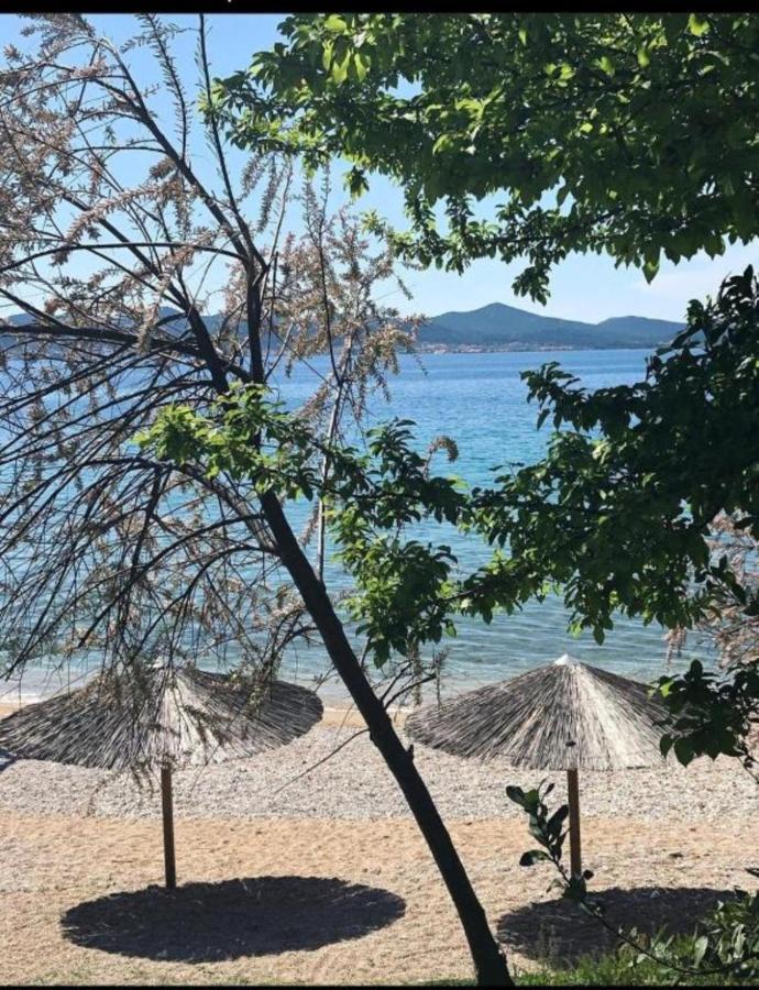Luxury Majpruz Suites I Zadar Bagian luar foto
